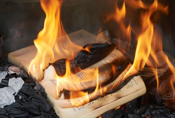 CRF9WH Books burning in fire