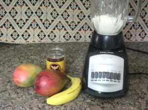 Preparing Mango Shake in the Revived Blender